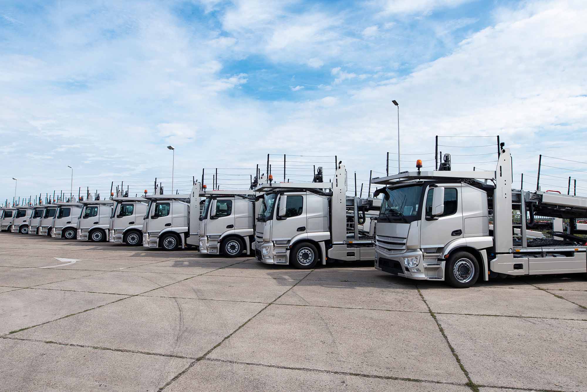 Enorvex Services